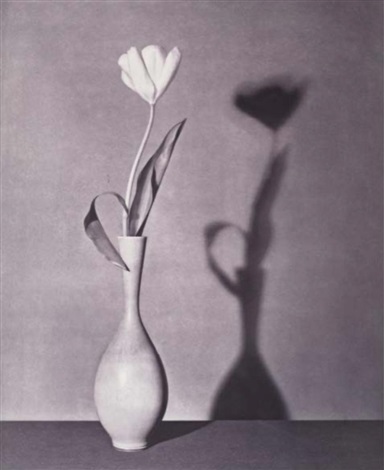 Robert Mapplethorpe - Pistils - アート・デザイン・音楽