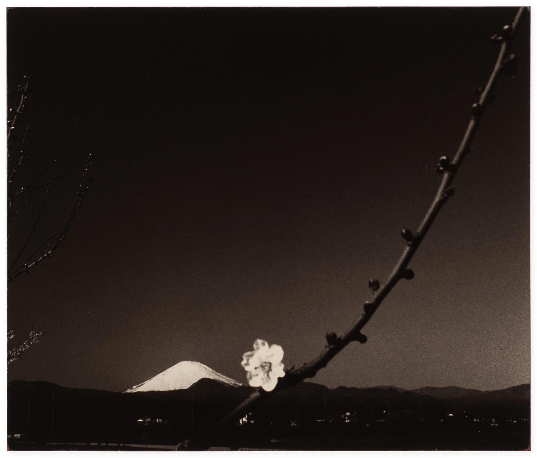 masao-yamamoto-a-box-of-ku-764.jpg