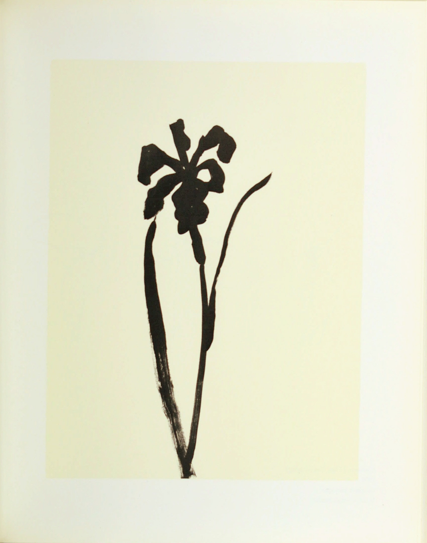 Plant Drawings by Ellsworth Kelly on artnet