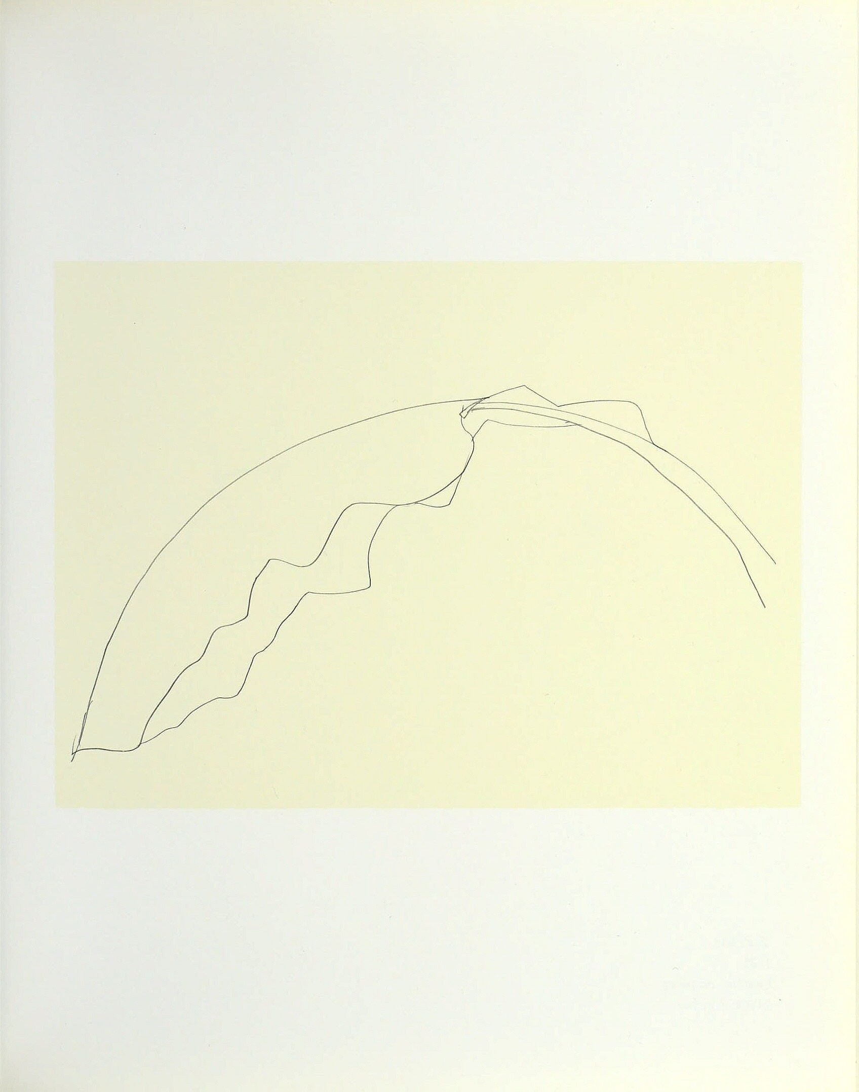 Ellsworth Kelly: Plant Drawings: Ashbery, John