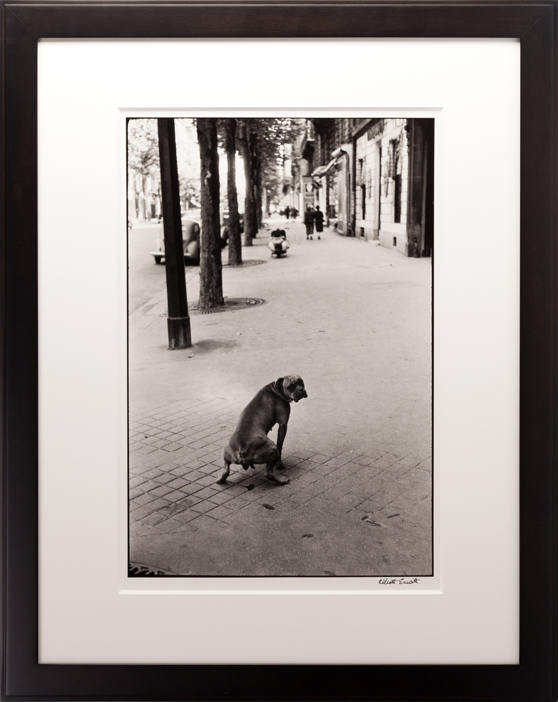Paris, France by Elliott Erwitt on artnet