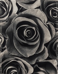 Ron van Dongen | Artnet