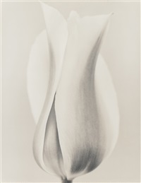 Ron van Dongen | Artnet
