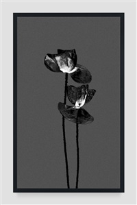 Michal Rovner | Artnet