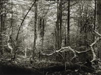 Josef Sudek | Artnet