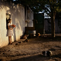 Alessandra Sanguinetti | Artnet