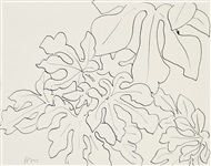 Henri Matisse, Feuillage d'un arbre, 1941 | Zeit