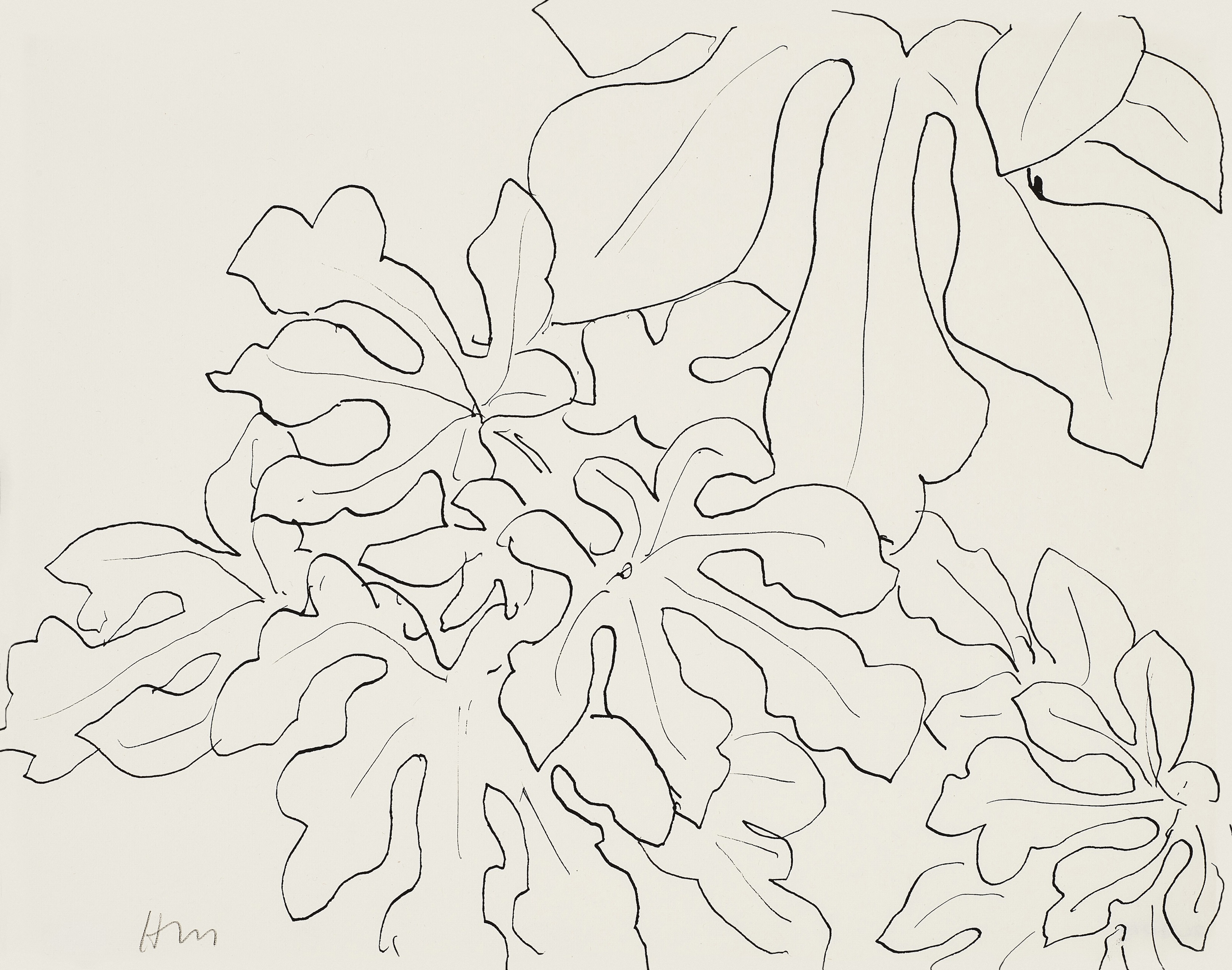 Matisse マティス Fleurs, Feuillages, Dessins HENRI MATISSE (1869-1954), Fleurs et feuilles | Christie's