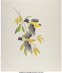 Michael James Riddet | Artnet