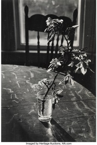 LILO RAYMOND リロ・レイモンド写真 Lilo Raymond | Holden Luntz Gallery