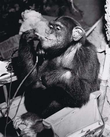 【希少！！】 smoking Monkey by artnet on Weegee その他