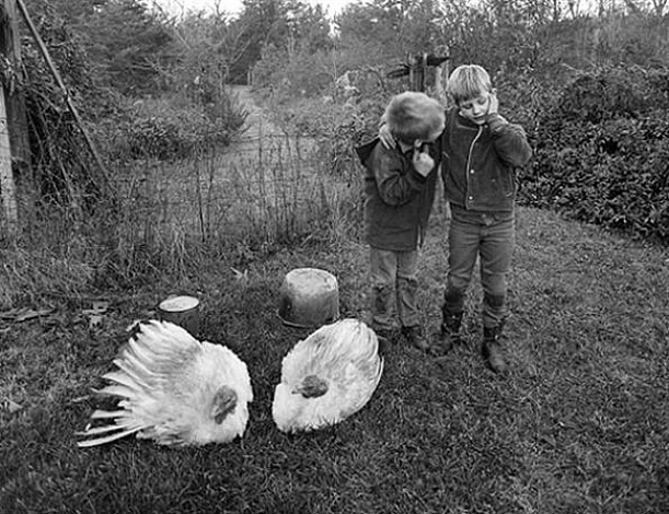 Barry, Dwayne and Turkeys, Danville, Virginia, 1970 by Emmet Gowin barry, dwayne and turkeys, danville, virginia, 1970 by emmet gowin