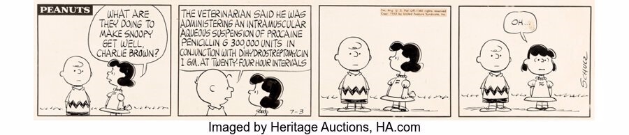 Vans peanuts comic online strip